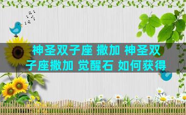 神圣双子座 撒加 神圣双子座撒加 觉醒石 如何获得